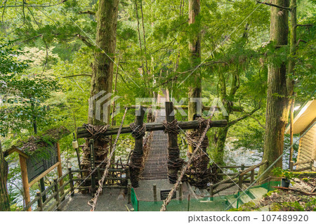 Kazura Bridge in Iya, Tokushima Prefecture, Oboke Iya Kazura Bridge in Iya, Tokushima Prefecture, Oboke Iya 107489920