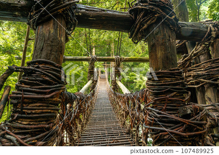Kazura Bridge in Iya, Tokushima Prefecture, Oboke Iya Kazura Bridge in Iya, Tokushima Prefecture, Oboke Iya 107489925