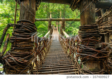Kazura Bridge in Iya, Tokushima Prefecture, Oboke Iya Kazura Bridge in Iya, Tokushima Prefecture, Oboke Iya 107489927