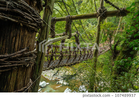 Kazura Bridge in Iya, Tokushima Prefecture, Oboke Iya Kazura Bridge in Iya, Tokushima Prefecture, Oboke Iya 107489937