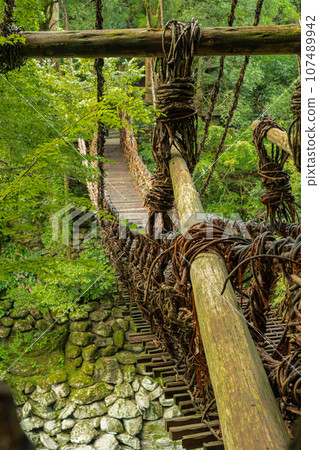 Kazura Bridge in Iya, Tokushima Prefecture, Oboke Iya Kazura Bridge in Iya, Tokushima Prefecture, Oboke Iya 107489942