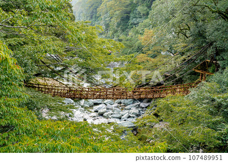 Kazura Bridge in Iya, Tokushima Prefecture, Oboke Iya 107489951