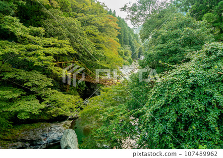 Kazura Bridge in Iya, Tokushima Prefecture, Oboke Iya Kazura Bridge in Iya, Tokushima Prefecture, Oboke Iya 107489962