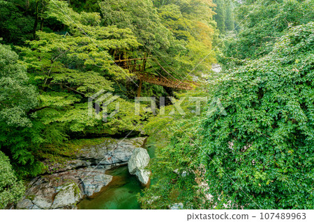 Kazura Bridge in Iya, Tokushima Prefecture, Oboke Iya 107489963