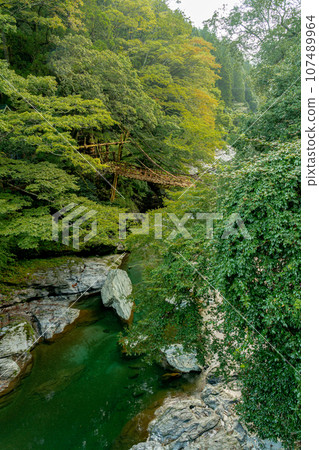 Kazura Bridge in Iya, Tokushima Prefecture, Oboke Iya Kazura Bridge in Iya, Tokushima Prefecture, Oboke Iya 107489964