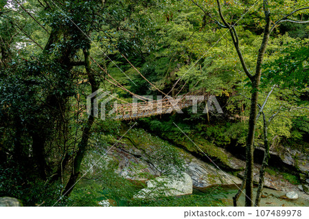 Kazura Bridge in Iya, Tokushima Prefecture, Oboke Iya Kazura Bridge in Iya, Tokushima Prefecture, Oboke Iya 107489978