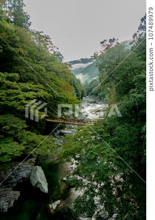 Kazura Bridge in Iya, Tokushima Prefecture, Oboke Iya 107489979