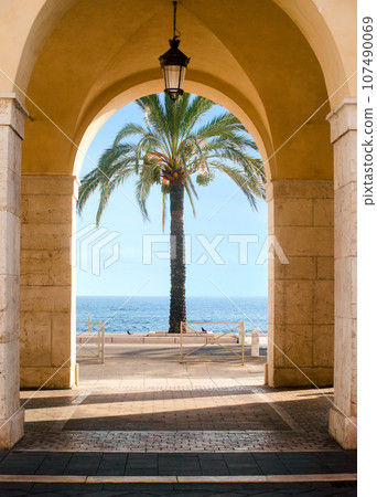Palm tree framed by ocher arches in the city of Nice 107490069