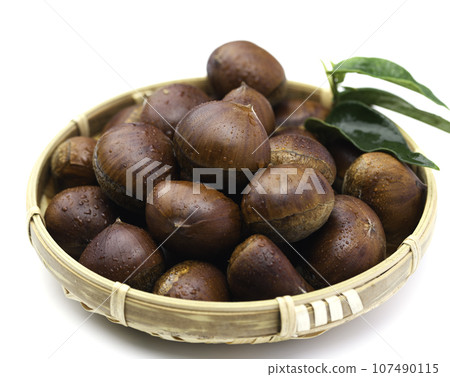 Taste of Autumn Chestnut Chestnut Chestnut Raw Chestnut White Background) Nut Burr Chestnut Fruit White Background Taste of Autumn Chestnut Chestnut Chestnut Raw Chestnut White Background) Nut Burr Chestnut Fruit White Background 107490115