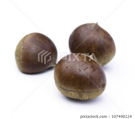 Taste of Autumn Chestnut Chestnut Chestnut Raw Chestnut White Background) Nut Burr Chestnut Fruit White Background 107490124
