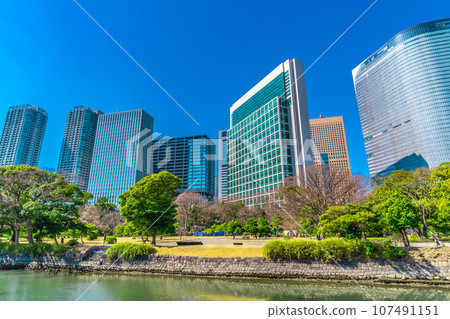 Hama Rikyu皇家花園和汐留的高層建築 Hama Rikyu皇家花園和汐留的高層建築 107491151