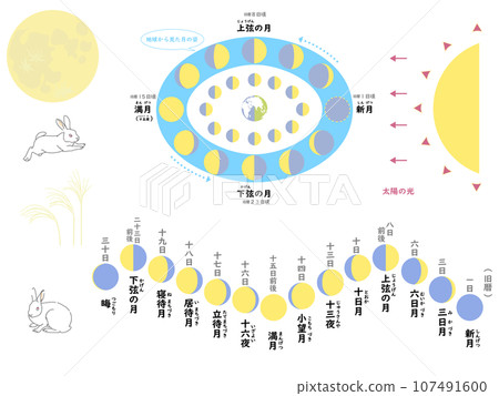 Moon phases diagram and moon name list set 107491600