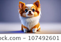 3D cute chihuahua 107492601