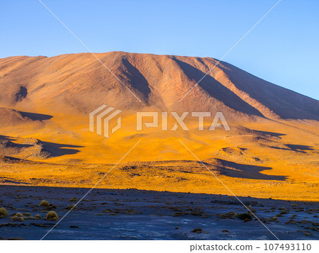 High peaks and typical grass clumps at Laguna Colorada in southern bolivian Altiplano 107493110