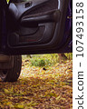 Opened car door on an autumn road. 107493158