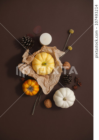 Autumn decoration concept and happy Thanksgiving day. Pumpkins mean a good harvest season. Brown background for warm vibe. Creative photography for advertising 107493214