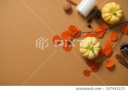 Abstract minimalist scene for Autumn and Thanksgiving day. Small pumpkins, colorful dry twigs and dried seeds are decorated on a brown background. Flat lay with space for design Abstract minimalist scene for Autumn and Thanksgiving day. Small pumpkins, colorful dry twigs and dried seeds are decorated on a brown background. Flat lay with space for design 107493225