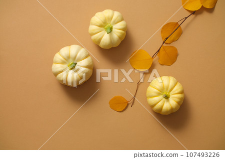 Photography warm autumn concept  Notebook, pumpkins, dried leaves and wool scarf decorated on brown background. Top view, space for design and text 107493226