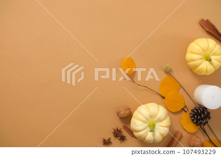 Brown background with Autumn floral decoration. Pumpkins, dry branch tree, cinnamon sticks and nuts arranged and create space for design. Abstract background for branding and minimal presentation.  107493229