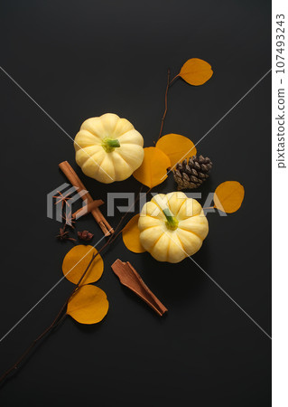 Mini pumpkins and dried autumn leaves, dried cinnamon sticks and star anise are on display on a black background. Concept of Thanksgiving day or Halloween  107493243