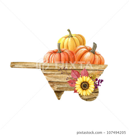 Wooden wheelbarrow with pumpkins. Watercolor illustration. Han drawn vintage style farm barrow with autumn harvest pumpkins. Cozy painted autumn decor. White background Wooden wheelbarrow with pumpkins. Watercolor illustration. Han drawn vintage style farm barrow with autumn harvest pumpkins. Cozy painted autumn decor. White background 107494205