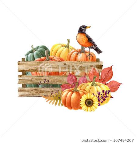 Autumn cozy decoration from pumpkins in a wooden box. Vintage style watercolor illustration. Hand drawn harvested ripe orange pumpkins with floral decor and robin bird. Isolated on white background Autumn cozy decoration from pumpkins in a wooden box. Vintage style watercolor illustration. Hand drawn harvested ripe orange pumpkins with floral decor and robin bird. Isolated on white background 107494207