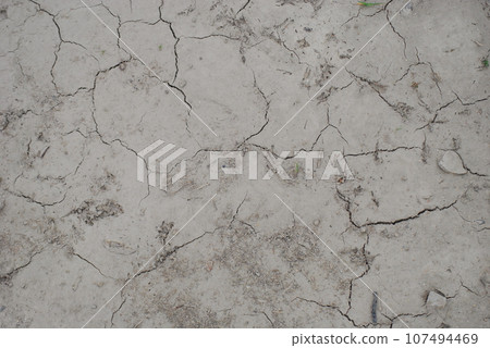 Dry ground 107494469