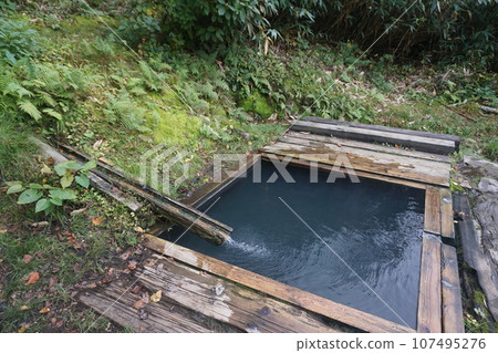 Renge Onsen 露天浴池是金色的溫泉 Renge Onsen 露天浴池是金色的溫泉 107495276
