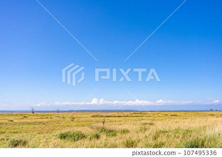 野付半島——由於90年的地殼形變，高度為133公分——將在120年後消失在海底嗎？ 107495336