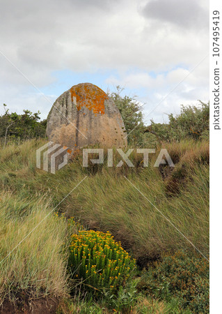 Menhir of Run ar Gam near Trebeurden in Brittany 107495419