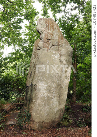 Menhir La Bonne Femme - in English The Good Woman - in Veades near Trebeurden in Brittany Menhir La Bonne Femme - in English The Good Woman - in Veades near Trebeurden in Brittany 107495422
