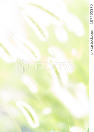 Green foxglove glitter background material Green foxglove glitter background material 107495570