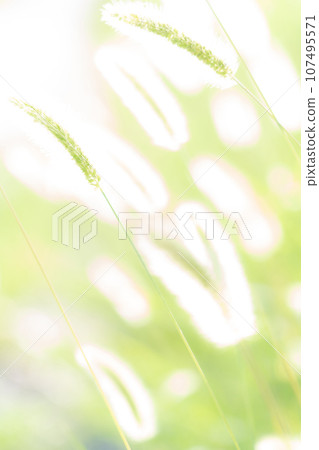 Green foxglove glitter background material 107495571