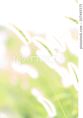Green foxglove glitter background material 107495575