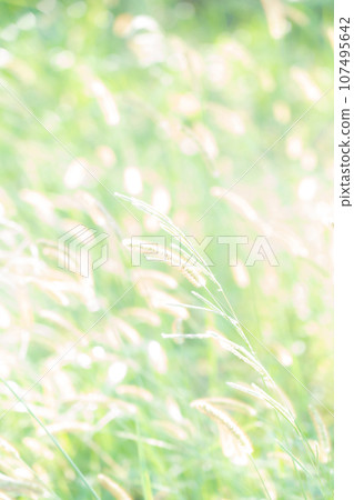 Green foxglove glitter background material 107495642