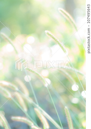 Green foxglove glitter background material 107495643