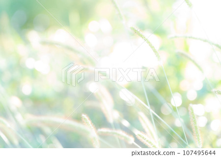 Green foxglove glitter background material 107495644