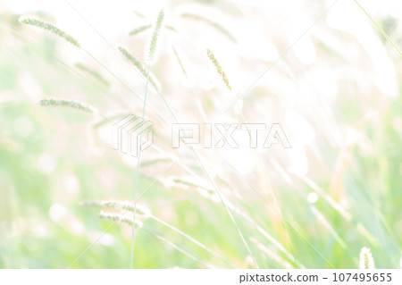 Green foxglove glitter background material 107495655