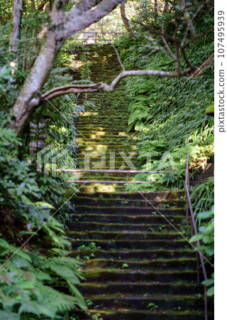 鎌倉 10 月 妙法寺 19 107495939