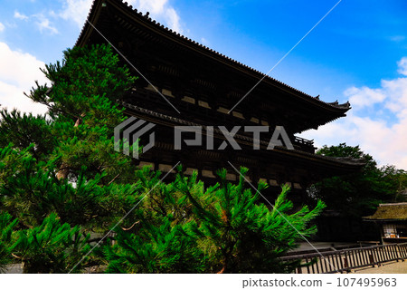 仲夏時節,在仁和寺漫步 仲夏時節,在仁和寺漫步 107495963