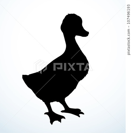 Cute duckling. Vector outline drawing Cute duckling. Vector outline drawing 107496193