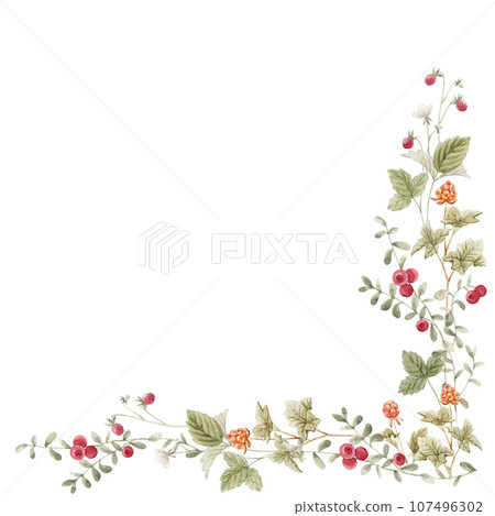 Beautiful frame with hand drawn watercolor different forest wild berries. Clip art. Stock illustration. 107496302
