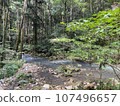 清除流 107496657