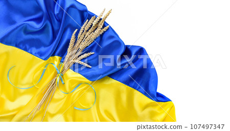 Bundle of wheat spikes with yellow and blue ribbon on the background of the flag of Ukraine isolated on white 107497347