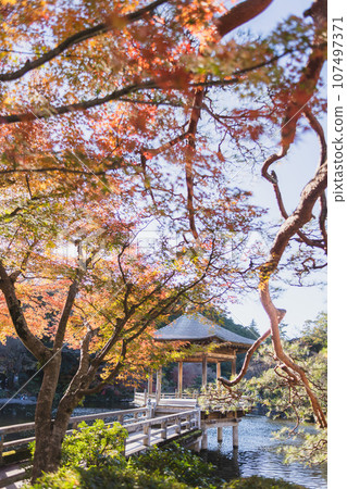 Arashiyama in autumn wrapped in autumn leaves Arashiyama in autumn wrapped in autumn leaves 107497371