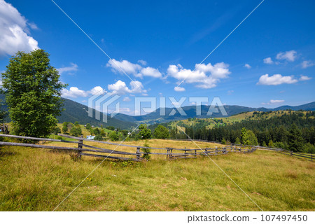 Beautiful mountain landscape and bright trees in sunlight. Carpathian, Ukraine, Europe. Beautiful mountain landscape and bright trees in sunlight. Carpathian, Ukraine, Europe. 107497450