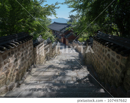 韓國釜山 Beomyosa 寺院內 韓國釜山 Beomyosa 寺院內 107497682