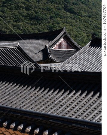 The grounds of Beomyosa Temple, Busan, South Korea The grounds of Beomyosa Temple, Busan, South Korea 107497704