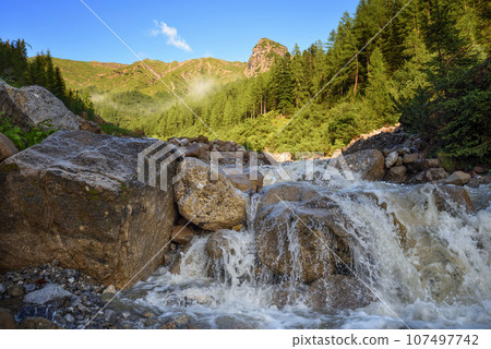 Mountain stream in the high mountains. Creek flowing over the rocks. Powerful river bed in the Alps. 107497742