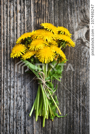 Bouquet of dandelion flowers, yellow wildflowers on the background of an old board 107498247